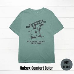 just let me cry first t shirt, sad girl, girlfriend gift, shirt for gf, gift for girlfriend, shirt for wife