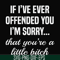 FN000505-If I've ever offended you I'm sorry that you're a little bitch svg, png, dxf, eps file FN000505.jpg