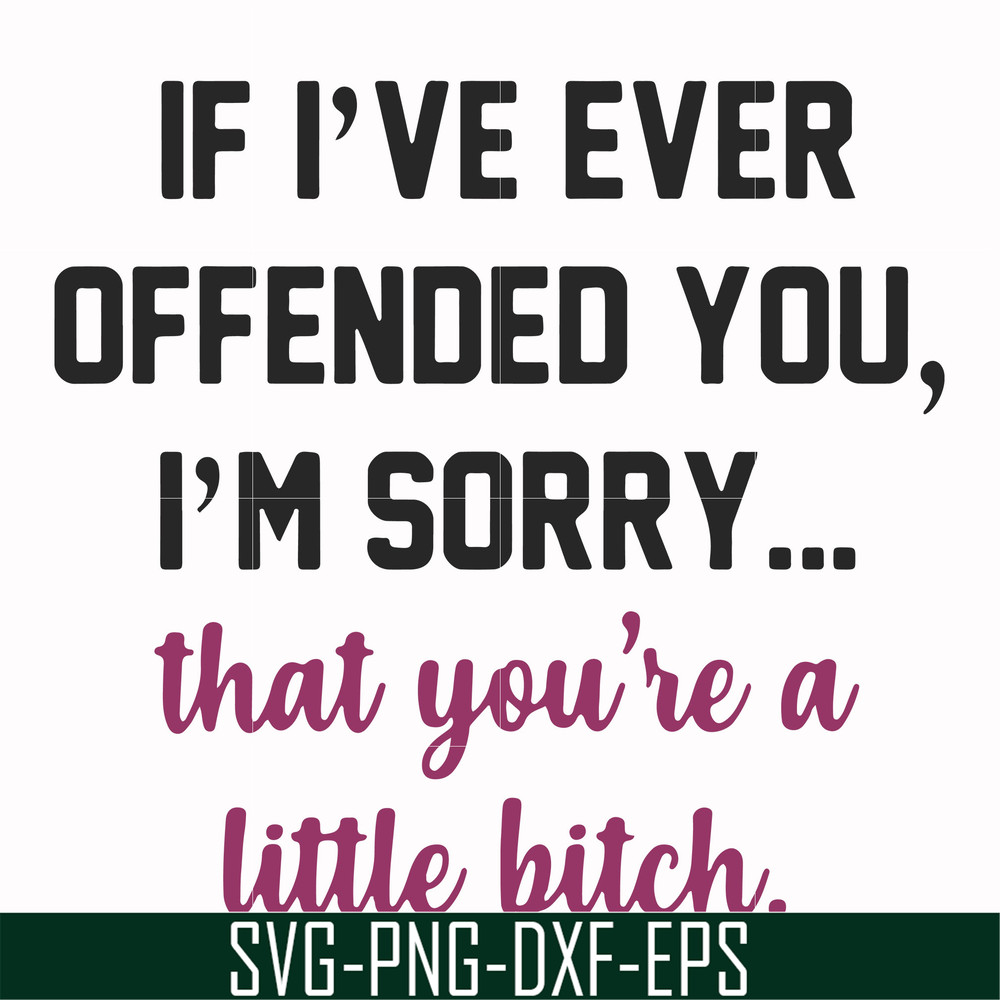 FN000506-If I've ever offended you I'm sorry that you're a little bitch svg, png, dxf, eps file FN000506.jpg