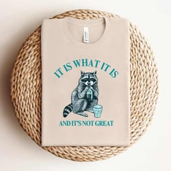 raccoon meme it is what it is shirt