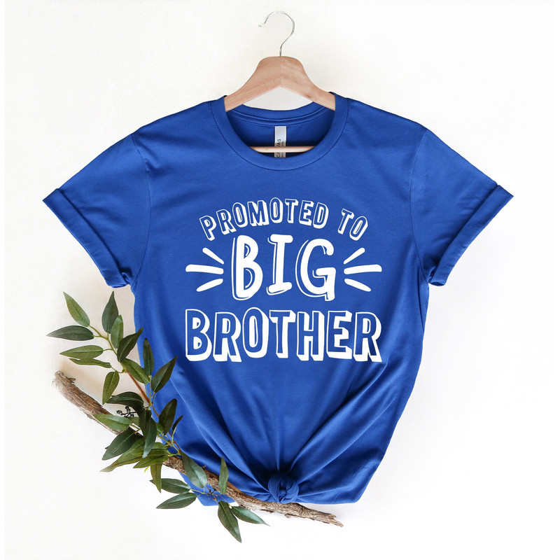 Promoted To Big Brother Shirt, Pregnancy Announcement Shirt, Big Brother Shirt, Pregnancy Reveal Shirt, Arrow Big Brother Shirt, Brother Tee.jpg