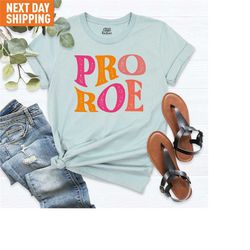 pro roe shirt, pro choice t-shirt, roe v wade tee, 1973 shirt, feminist gift shirt, womens rights shirt, human rights te