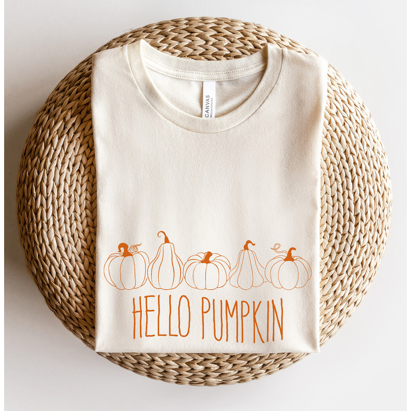 Toddler Hello Pumpkin Shirt, Minimal Pumpkin Shirt, Toddler Thanksgiving Shirt, Pumpkin Patch Tee, Toddler Fall Shirts, Thanksgiving Tee.jpg
