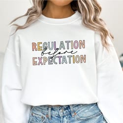 regulation before expectation sweatshirt, special education hoodie, accessibility teacher gift, sensory regulation , occ