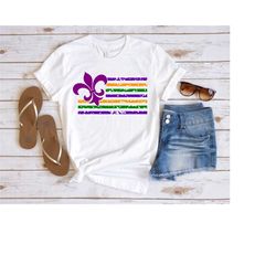 mardi gras flag shirt, mardi gras shirt, fat tuesday shirt, mardi gras tshirt, mardi gras tee, mardi gras party shirt, m