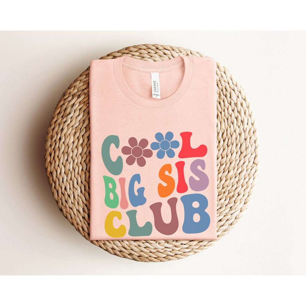 Cool Big Sis Club Shirt, Big Sister Shirt, Big Sis Shirt, Matching Sibling Shirt ,Big Sis Reveal, Matching Sibling Tee, Baby Announcement.jpg