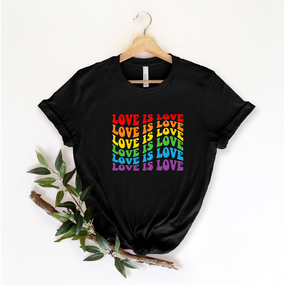 Love is Love T-Shirt, Womens Love is Love Shirt, Pride Shirt, Mens Love is Love Shirt, Kindness Shirts, LGBTQ Support Tees, Gay Pride Shirt.jpg