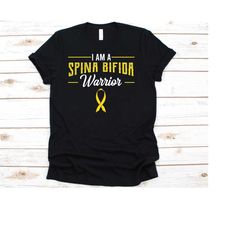 i am a spina bifida warrior shirt, awareness gift for myelomeningocele fighter survivor, meningocele tshirt, spina bifid