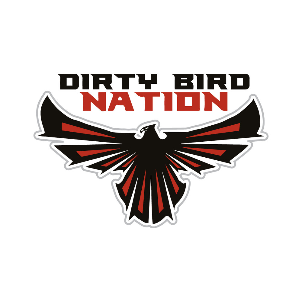 Dirty Bird Nation Png, Atlanta Falcons Football Logo Png.jpg