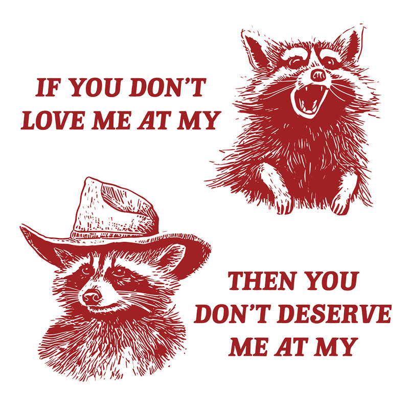 If You Dont Love Me At My Funny Raccoon SVG.png