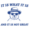 0901241022-it-is-what-it-is-and-it-is-not-great-meme-svg-0901241022png.png