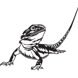 bearded dragon svg lizard svg reptile svg bearded dragon png bearded dragon jpg bearded dragon files bearded