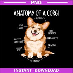 Anatomy Of A Corgi, Gifts For Dog Lovers, Funny Dog Owner PNG Download