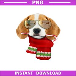 Beagle, Gift for Dog Lovers, Puppy Sunglasses PNG Download