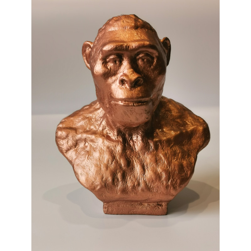 IMG20220906163714edit962465859761472jpg