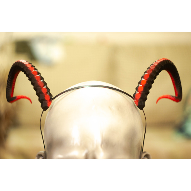 20230227-DSC07223 - копия.jpg