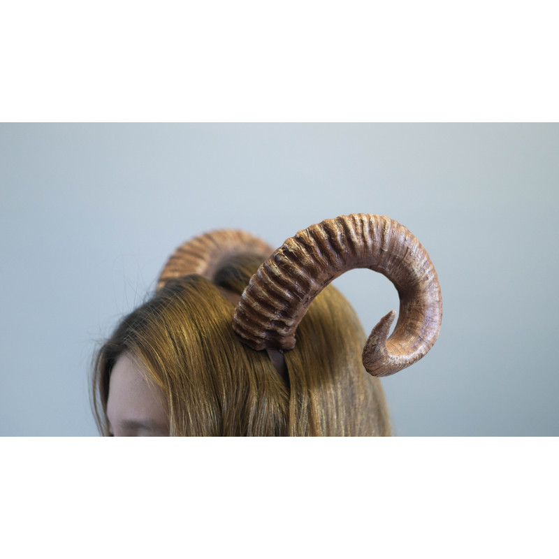 20140921-vfq (37).jpg