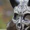 Bat Skull Mask Animal Skull Mask With Pattern Cat Skull Mask 1
