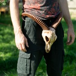 ram skull belt with horns, leather belt, fantasy armor, cosplay armor, celtic leather armor, viking armor, larp armor