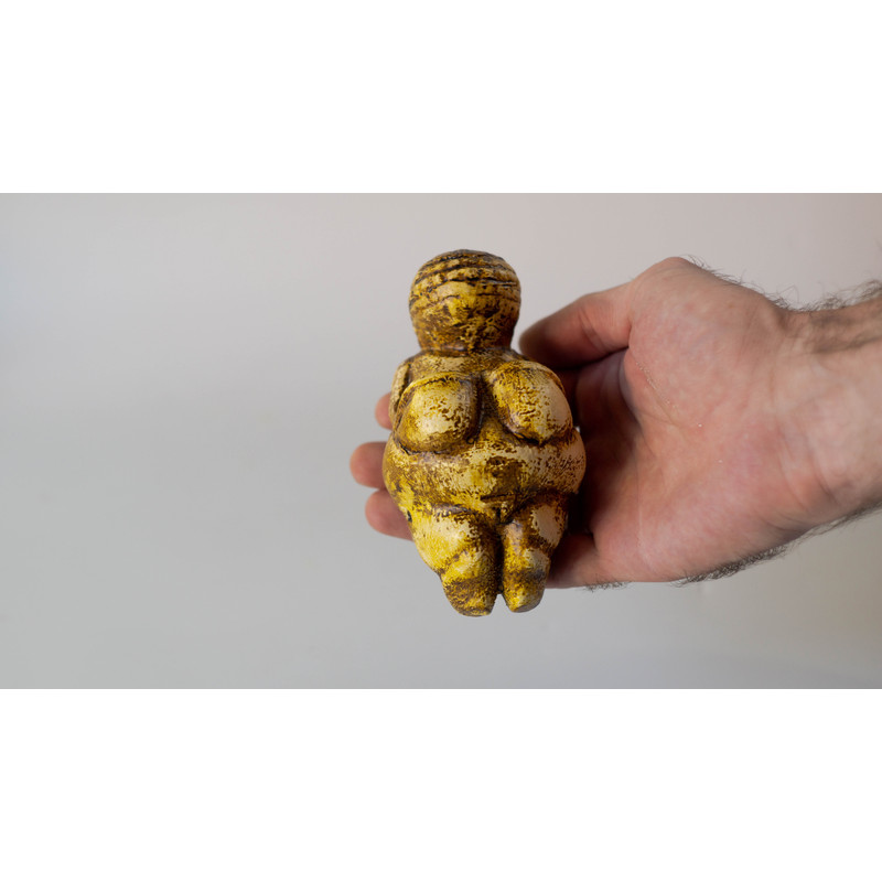 THE PALEOLITHIC VENUS OF WILLENDORF 5