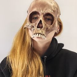 human skull mask full face with realistic teeth, handmade sfx, ivory, ritual skull mask, monster mask, cosplay mask