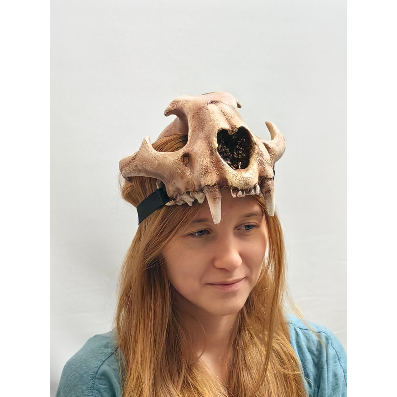Lynx Skull Crown Cat Skull Helmet Realistic Animal Skull On Head Tribal Headpiece Headpiece Sku 0
