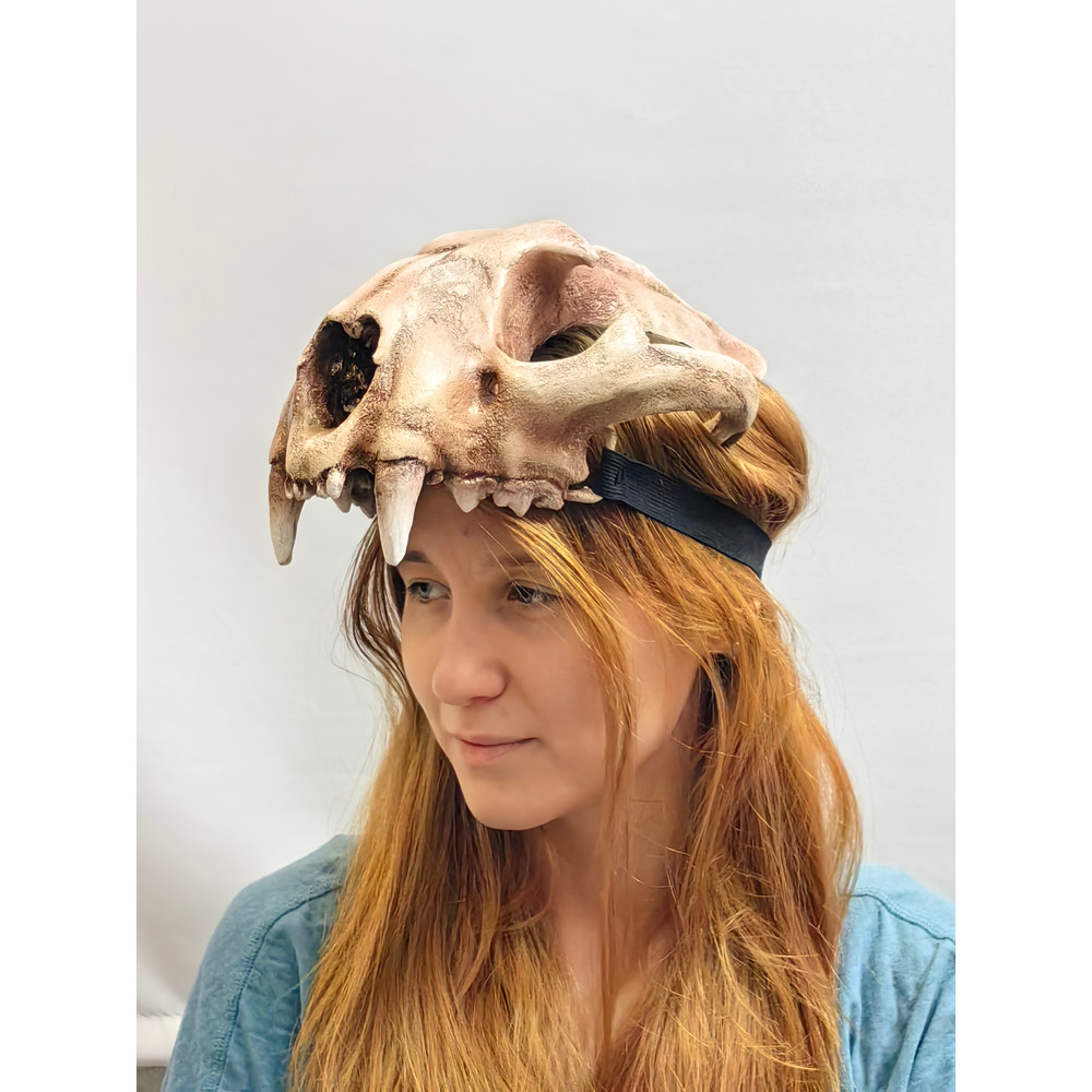 Lynx Skull Crown Cat Skull Helmet Realistic Animal Skull On Head Tribal Headpiece Headpiece Sku 2