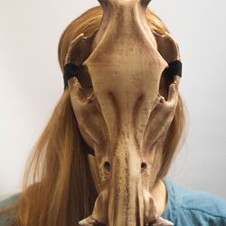 boar skull mask, pig skull mask