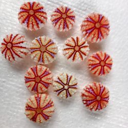 sea urchin real color...size 29-34 mm...11 pcs sea urchin