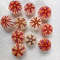 Sea Urchin Real Colorsize 2934 Mm11 PCs Sea Urchin 0