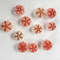 Sea Urchin Real Colorsize 2934 Mm11 PCs Sea Urchin 6