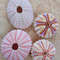 Craft Suppliessea Urchin Pinkwhat You SeE Is What You Get4 PCs Sea Urchin 0