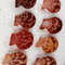 Craft Suppliespecten Senatorial Shellsize 2527 Mm8 PCs Shells 0