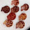 Craft Suppliespecten Senatorial Shellsize 2527 Mm8 PCs Shells 1