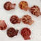 Craft Suppliespecten Senatorial Shellsize 2527 Mm8 PCs Shells 2