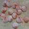 Craft Supplies15 PCs Pinkish Cockles Shellsgood For Crafting 2