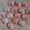 Craft Supplies15 PCs Pinkish Cockles Shellsgood For Crafting 3