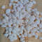 Craft Supplies100 PCs Smaller Size Of Shellsgood For Craftingnatural 1