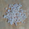 Craft Supplies100 PCs Smaller Size Of Shellsgood For Craftingnatural 2