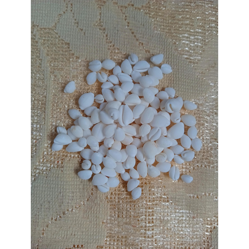 Craft Supplies100 PCs Smaller Size Of Shellsgood For Craftingnatural 2