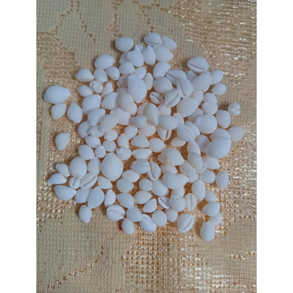 Craft Supplies100 PCs Smaller Size Of Shellsgood For Craftingnatural 3