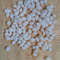 Craft Supplies100 PCs Smaller Size Of Shellsgood For Craftingnatural 4