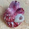 Craft Suppliestrochus With Attached Barnaclessize 27 Mmvery Good For Crafting 0