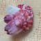 Craft Suppliestrochus With Attached Barnaclessize 27 Mmvery Good For Crafting 1