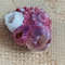 Craft Suppliestrochus With Attached Barnaclessize 27 Mmvery Good For Crafting 2