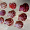Craft Suppliespecten Senatorial Shellsize 2325 Mm9 PCs Shells 1