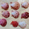 Craft Suppliespecten Senatorial Shellsize 2325 Mm9 PCs Shells 2