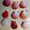 Craft Suppliespecten Senatorial Shellsize 2325 Mm9 PCs Shells 3