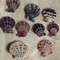 Craft Supplies9 PCs Smaller Size Pecten Shellgood For Collection 0