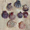 Craft Supplies9 PCs Smaller Size Pecten Shellgood For Collection 1